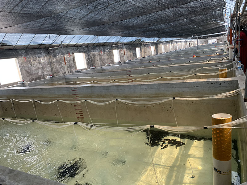 灰色水性養(yǎng)殖漆