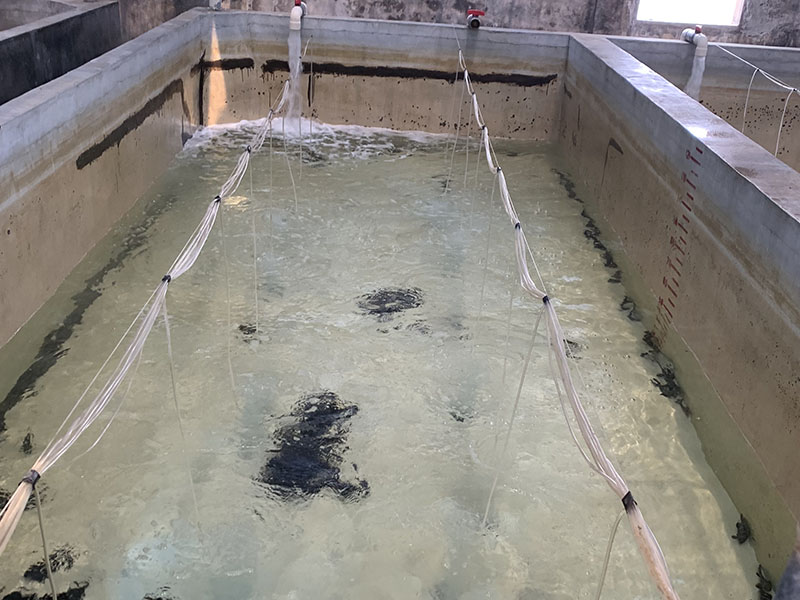 灰色水性養(yǎng)殖漆