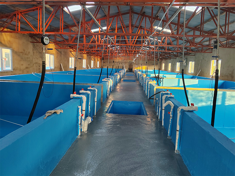 藍色養(yǎng)殖漆施工