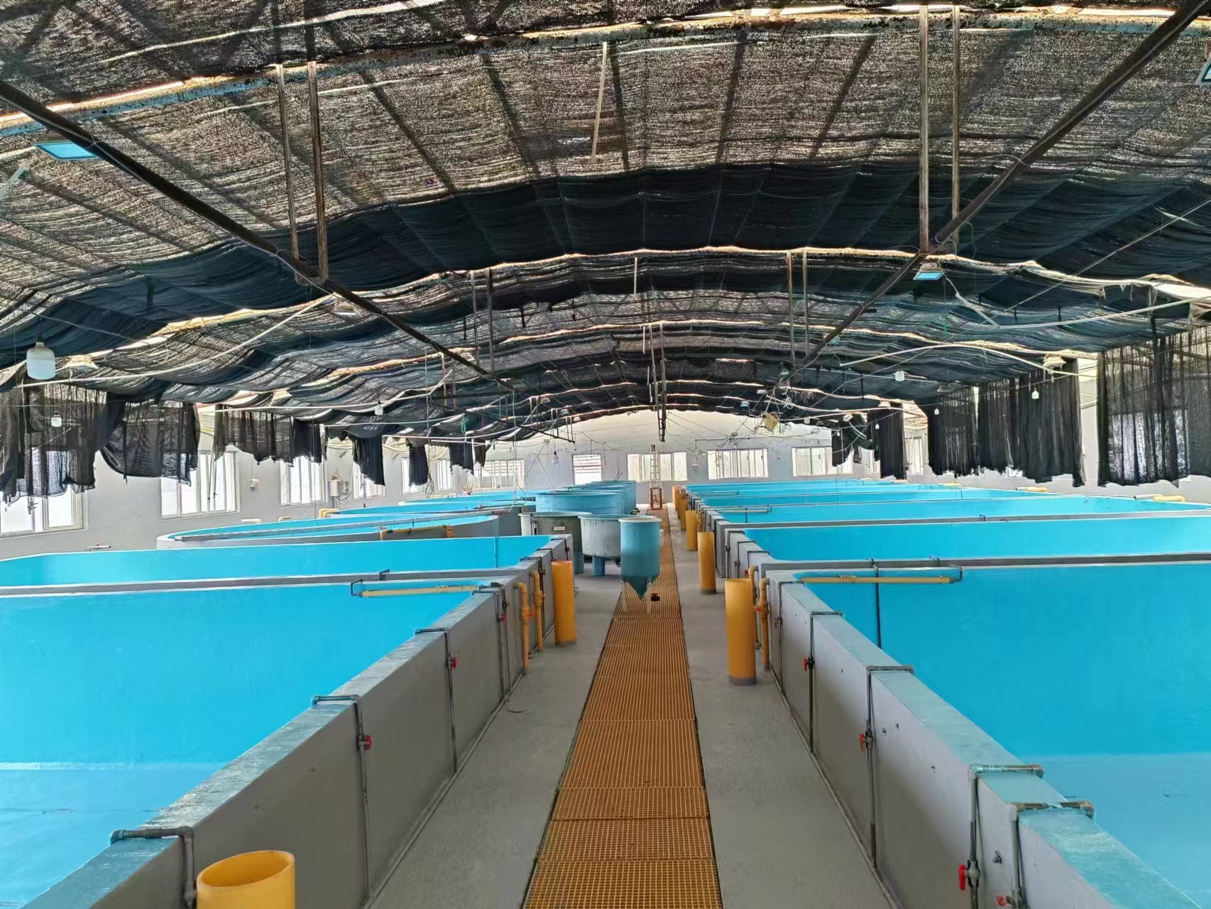 水性養(yǎng)殖漆施工案例