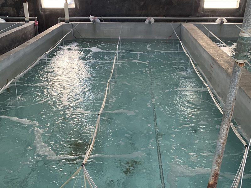 養(yǎng)殖不順，就刷歐士星養(yǎng)殖漆