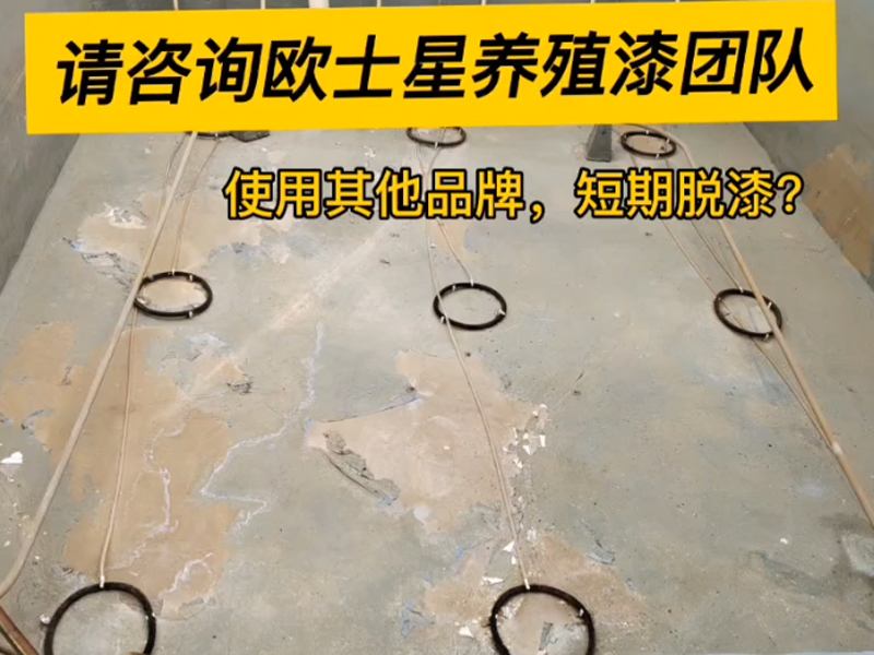 曾經(jīng)刷養(yǎng)殖漆或者即將要刷養(yǎng)殖漆的朋友們，如果遇到刷完養(yǎng)殖漆短時間脫漆請咨詢歐士星養(yǎng)殖漆團(tuán)隊(duì)，可免費(fèi)解答您的困惑！