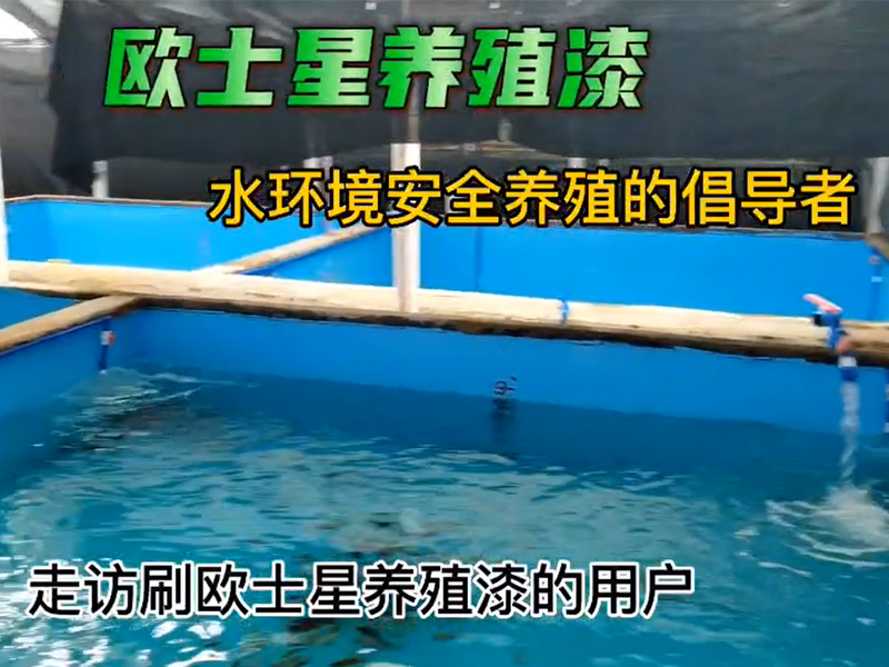 走訪刷歐士星養殖漆的用戶，用戶自己的工人刷完漆放水養殖東星斑一個多月，養殖順利，翻新，一桶漆刷了7個池子，工人施工方便，歐士星養殖漆無異味，藍色深的比淺的養殖漆有助于減少養殖環境對東星斑的應激，技術員反饋，貓在池子邊緣爬，東星斑比較淡定，養殖場可以根據環境情況選擇養殖漆的顏色的深和淺。