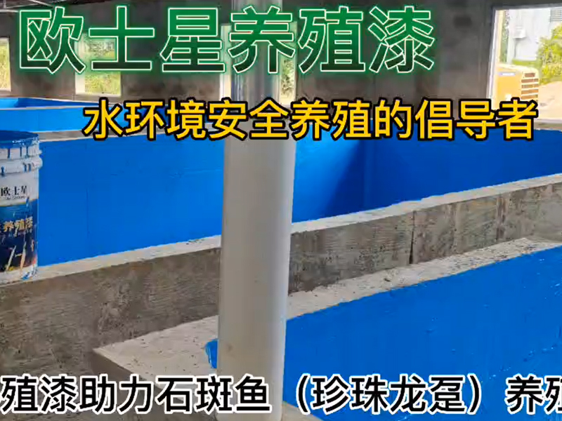 歐士星養(yǎng)殖漆助力石斑魚（珍珠龍躉）養(yǎng)殖，11月27日刷漆，12月1日放水養(yǎng)殖，魚苗活力佳，攝食順利，倡導(dǎo)水環(huán)境安全養(yǎng)殖，歐士星養(yǎng)殖漆在行動(dòng)！