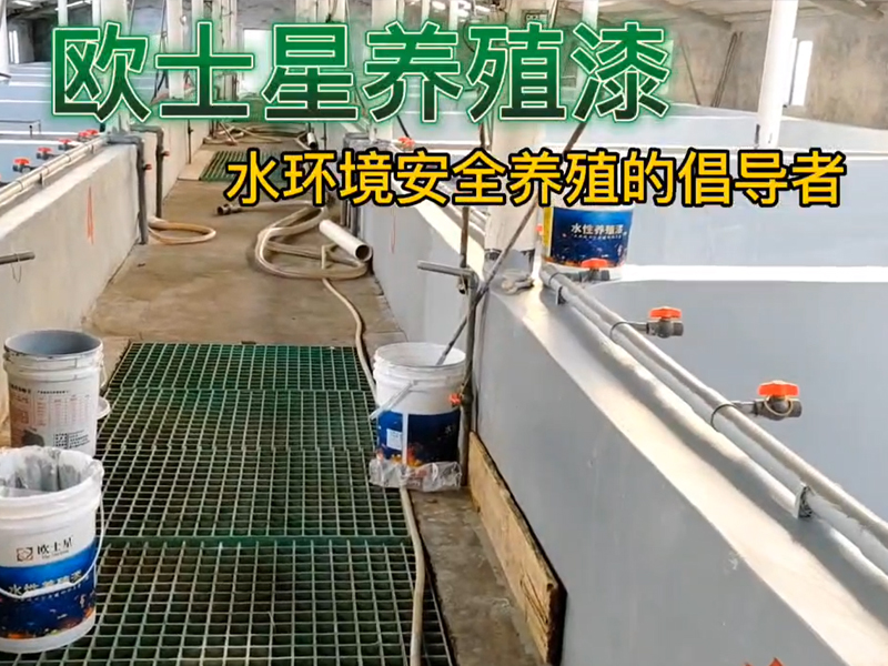 刷著歐士星養(yǎng)殖漆，聽著周華健的歌，刷出兒時的武俠夢。