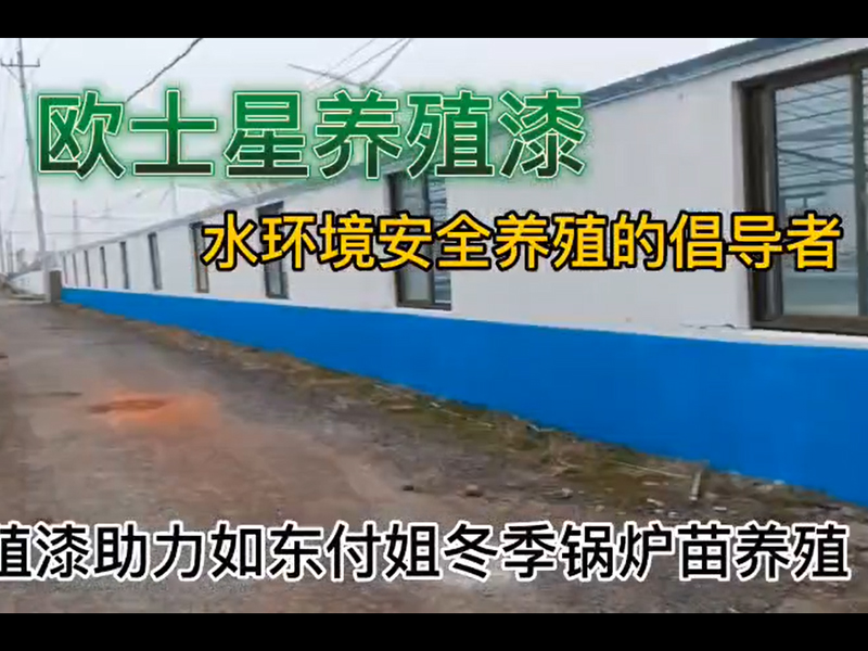 歐士星養(yǎng)殖漆助力如東付姐冬季鍋爐苗養(yǎng)殖，倡導(dǎo)水環(huán)境安全養(yǎng)殖，歐士星養(yǎng)殖漆在行動(dòng)。