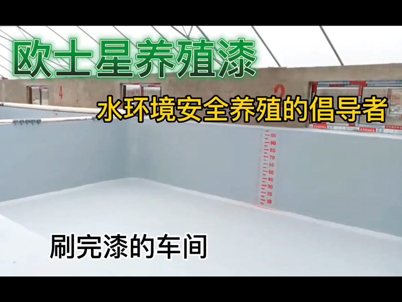 萬事開頭難，養殖前刷一刷歐士星養殖漆，養殖更順利！刷完漆的車間，環境好，好養。