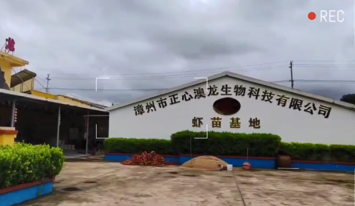 養(yǎng)殖漆案例視頻