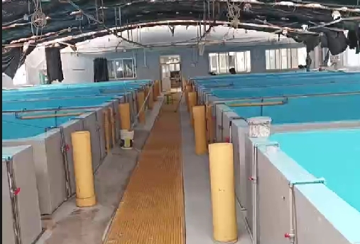 水產(chǎn)養(yǎng)殖漆案例